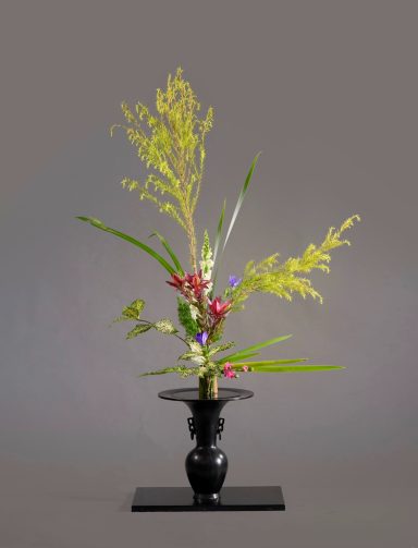 Rikka Shofutai Ikenobo traditionnel - Maivan Floral Arrangement ikebana Ikenobo traditionnel avec branches jaunes fleurs rouges et feuillages dans un vase noir sur fond gris