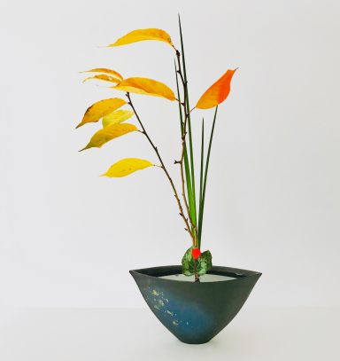 Shoka Shimputai Moderne - MAI VAN Thai Thomas Shoka Shimputai Ikenobo Kyoto par MAI VAN Thai Thomas, professeur certifié. Shoka moderne, feuilles automne, vase noir Utsuwa