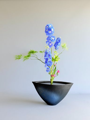 Shoka Shofutai Bleu - MAI VAN Thai Thomas Shoka Shofutai Ikenobo Kyoto par MAI VAN Thai Thomas, professeur certifié. Fleurs bleues vase noir Utsuwa. Art floral japonais