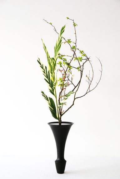 Shoka Shimputai - Ikebana moderne Ikenobo - Maivan Floral Composition ikebana Shoka Shimputai avec feuillages verts et branches fines dans un vase noir sur fond clair