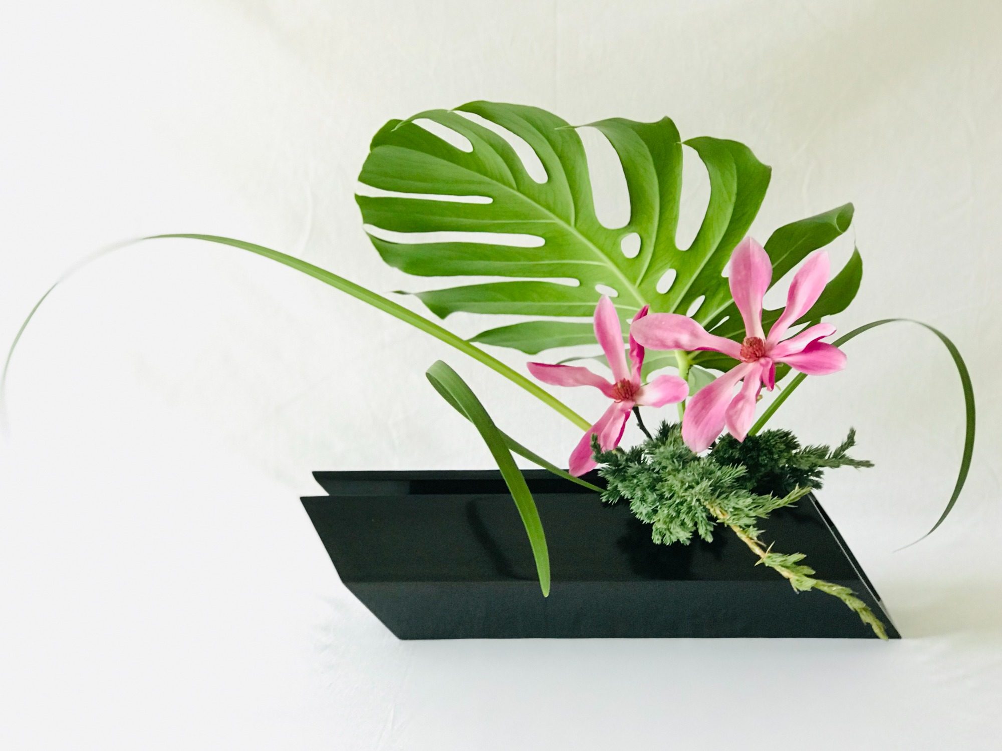 Jiyuka Ikenobo Composition Ikebana Jiyuka dans un vase noir avec feuille de Monstera, Fleur roses et feuillage sur le fond clair
